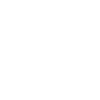 zhu.png